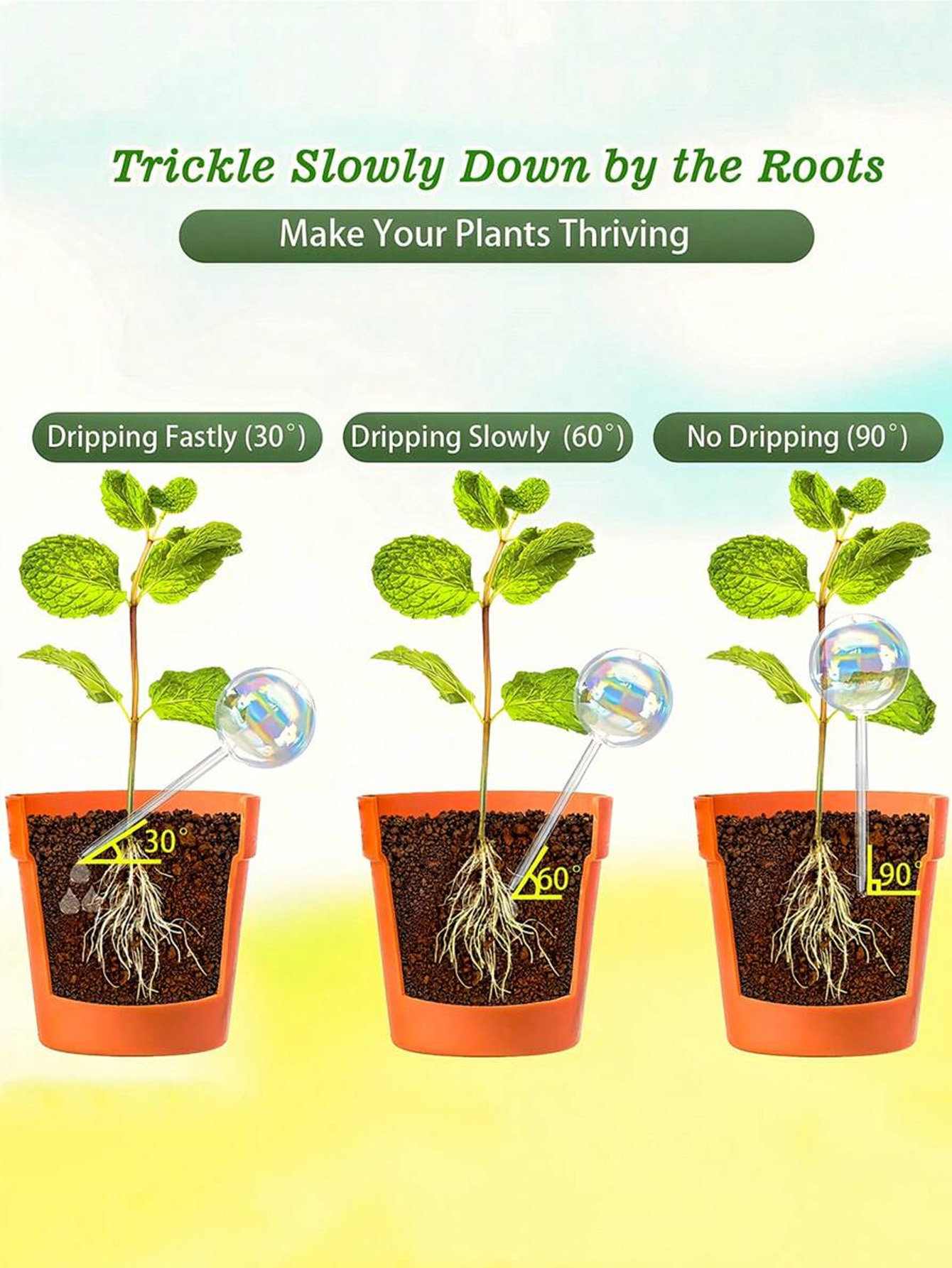1/2/4pcs Rainbow Gradient Auto - огляд і ціна Yoocaa Smart Garden