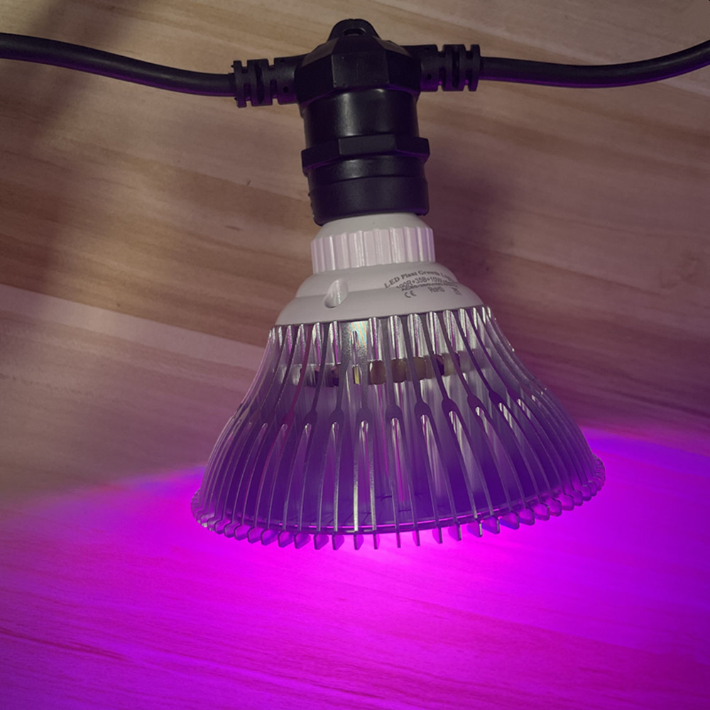 10M Cable LED String Commercia - огляд і ціна Smart Garden Light