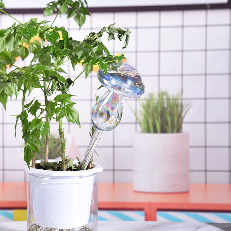 1/2PCS Glass Straw Automatic P - огляд і ціна Yoocaa Smart Garden