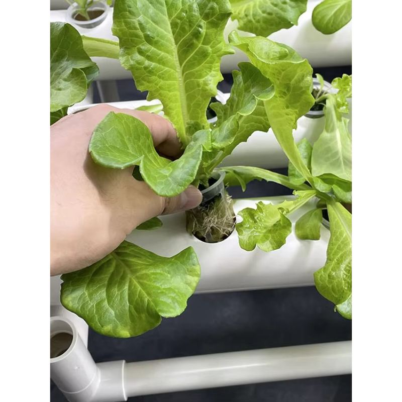 108 Holes Hydroponic Grow Kit  - огляд і ціна Aquaponics Home Kit