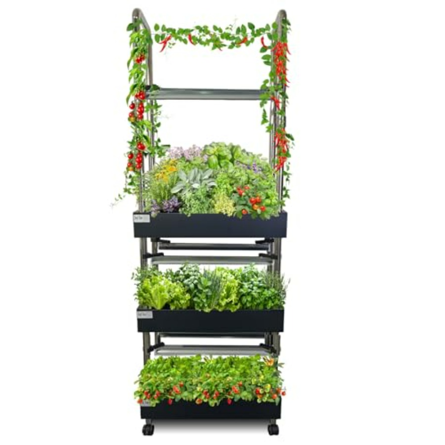 Indoor hydroponics growing sys - огляд і ціна Smart Garden Light