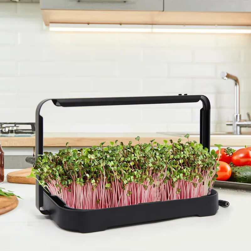 Hydroponic Tray Indoor Microgr - огляд і ціна Smart Garden System