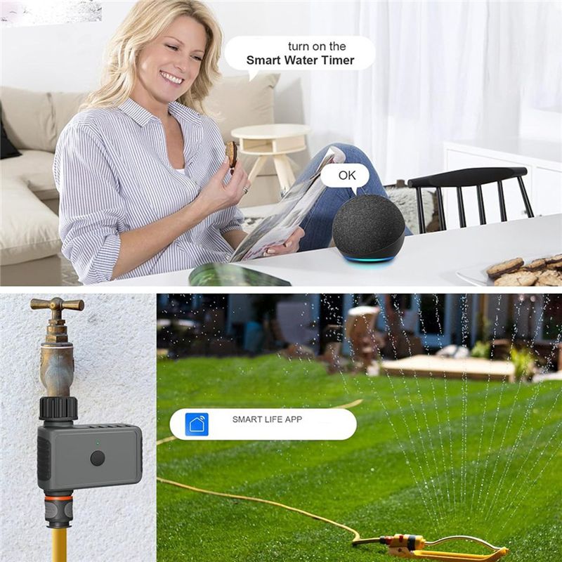 ~WISH Automatic Sprinkle Timer - огляд і ціна Smart Garden Iot